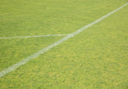 Leestips: deze vijf hilarische voetbalboeken gaan amper over voetbal
