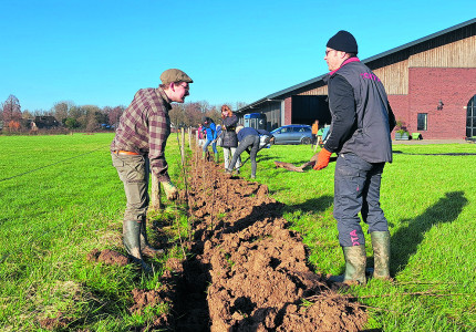 Boeren planten bomen en hagen