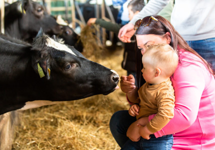 Boeren dragen bij aan een betere morgen