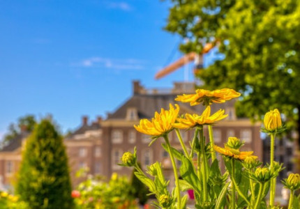 Hele maand nazomeren op Paleis Het Loo