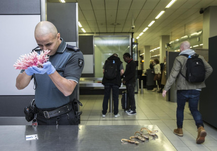 Meeste souvenirkopers niet bekend met douaneregels