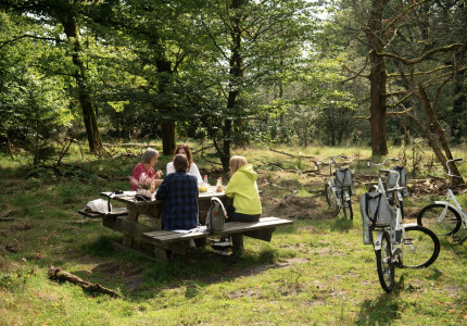 Vakantieparken van grote economische betekenis voor de Veluwe