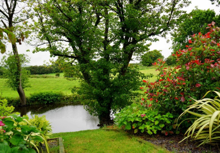 Hoe voorkomt u wateroverlast in uw tuin?