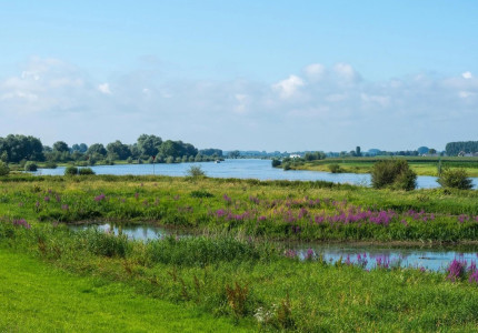 Stemmen op de ‘Meester van het IJssellandschap’