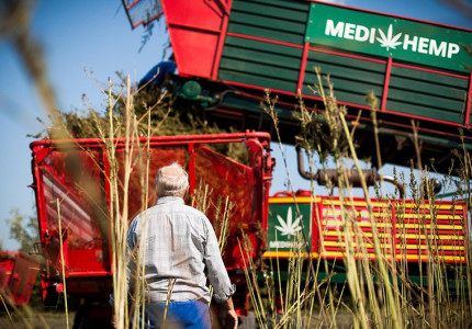 Waar komen Hollandse CBD producten vandaan?