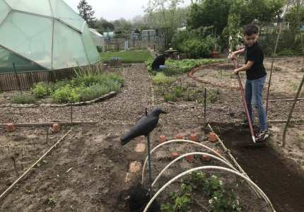 Kinderen lekker bezig in de moestuin Hoge West in Zutphen