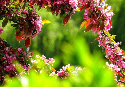 Tips om lang van je tuin te blijven genieten