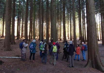 Afwisselende wandeling