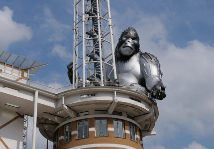 Gorilla op de uitkijk