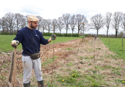 Stichting Het Anker houdt succesvolle boomplantdag