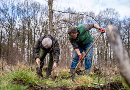 Duizend bomen geplant op Landgoed Beekzicht te Voorst