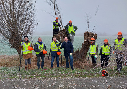 Duurzaam bomen knotten in Vierakker