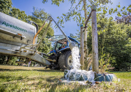 Bewateren jonge bomen