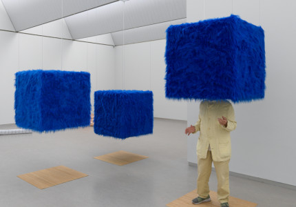 Marinus Boezem staat deze zomer centraal in het Kröller-Müller Museum