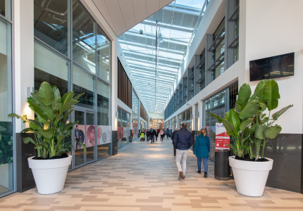 Corona hulpfonds voor Apeldoornse ondernemers