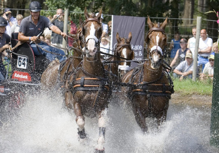 Uittips in Apeldoorn