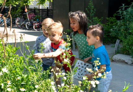 Nóg meer halen uit groene schoolpleinen
