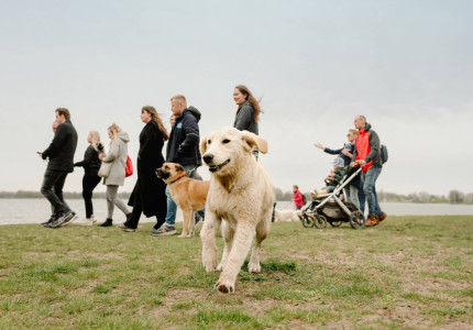 Met hulp hond hulp aan hulphond