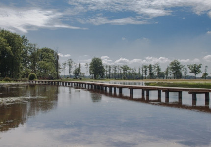 Brummen in de racevoor NS-wandeling