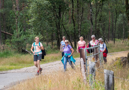 Royaal wandelen door de natuur