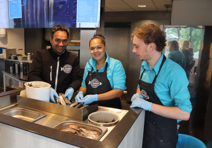 Goede start van de Hollandse Nieuwe