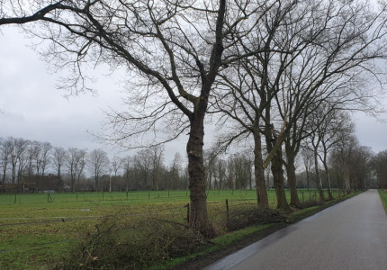 Salland Zoemt: graag minder maaien en meer ondergroei in bermen