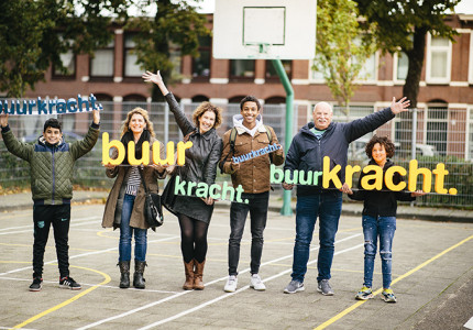 Grootste groenedakenproject in Zandweerd