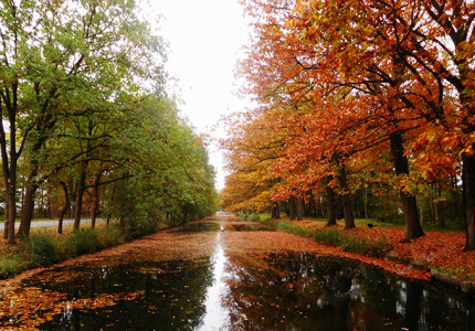 Herfsttocht op de fiets