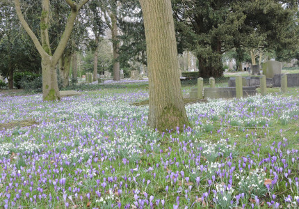 Wandelen op begraafplaats