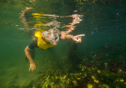 Grote Snorkeldag in Bussloo