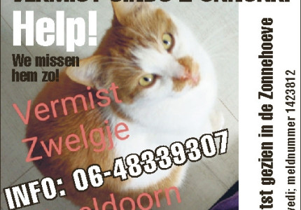 Vermist sinds 2 januari