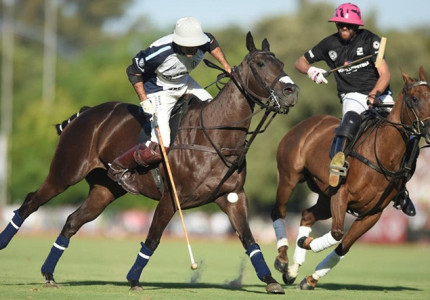 Internationale poloteams strijden om eerste King’s Cup