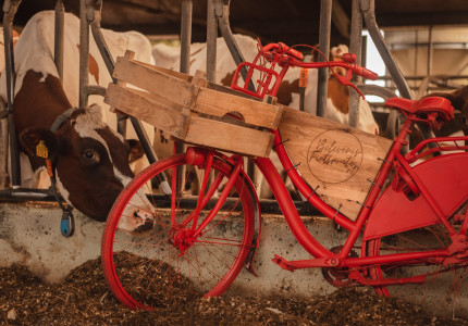 Culinaire Fietstocht in Salland