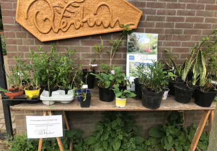 Laatste zomerse openstelling van de Overtuin