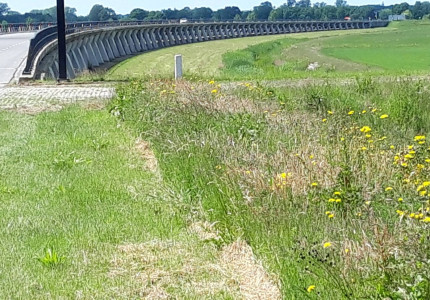 Fietstocht naar hoogwatergeul Veessen