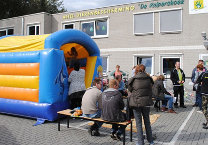 Open dag dierenasielde Kuipershoek