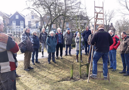 Aan de slag voor behoud boomgaarden