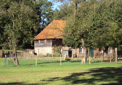 Excursie naar de Kopermolen in Zuuk in juli, augustus en september