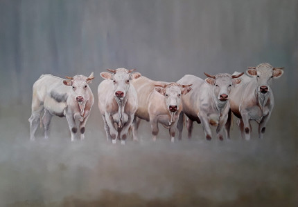 Nieuwe expositie Kunstkring Brummen