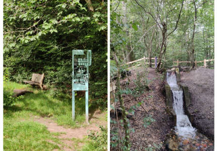 Wandeling over landgoed  ‘De Molenbeek’