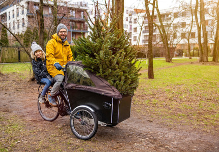 Kies dit jaar voor een duurzame kerstboom