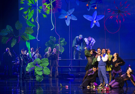 Midzomernachtsdroom theatrale kleurexplosie met meer dan 35 performers