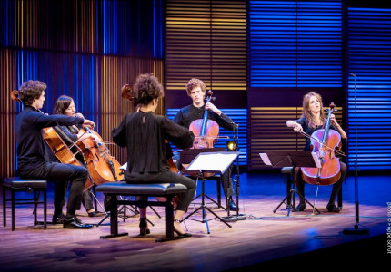 Internationaal Cellofestival Zutphen gaat door