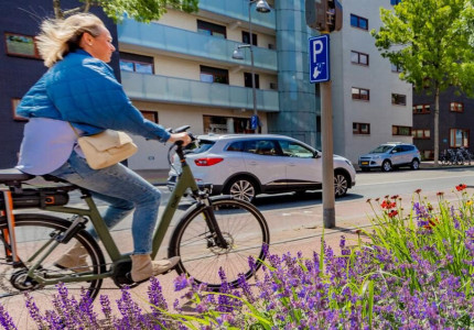 Onderzoekers wijzen Apeldoorn aan als gezondste stad van Nederland