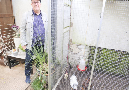 Zielige kip wekt de dichter in Henny