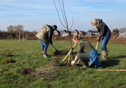 Voedselbos in de maak