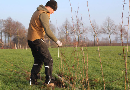Versterking van het landschap