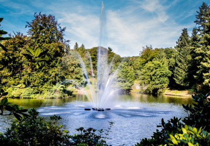 Royale boomkunst verbindt cultuur en natuur in Stadspark Berg & Bos