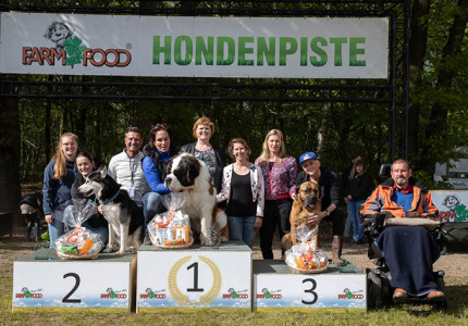 Op zoek naar mooiste hond