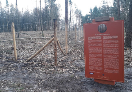 Klimaatbestendig bos op De Hoge Veluwe